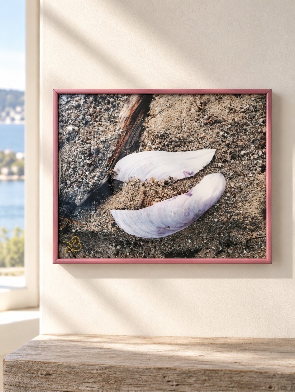 Signed Seashell Beach Photography Framed Coastal Art 8x10 Envisioned By SB